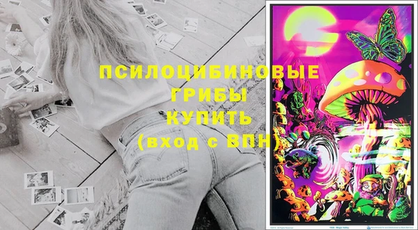 соль ск Иноземцево