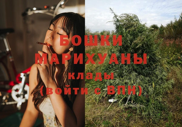 2c-b Александровское