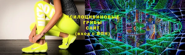 соль ск Иноземцево