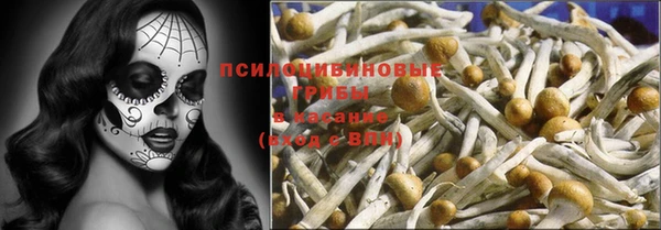 соль ск Иноземцево