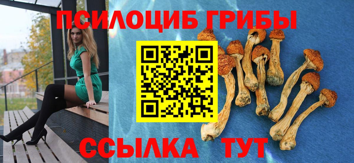 Галлюциногенные грибы Cubensis  Вход с VPN  Биробиджан 