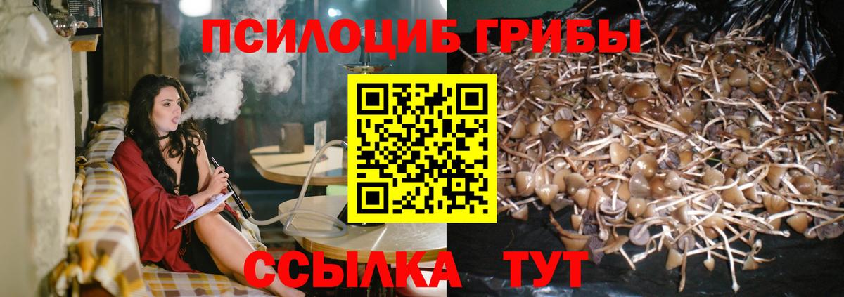 Псилоцибиновые грибы ЛСД Биробиджан